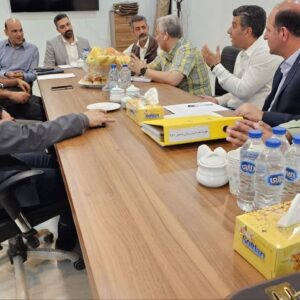 بررسی فرآیند اجرایی برق رسانی به مجتمع معدن سنگ آهن آریزD19